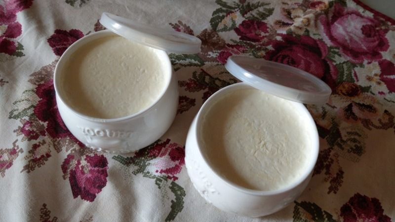 Klasik yoğurt mayalama yönteminden çok farklı... Taş gibi yoğurdun pratik tekniği 1